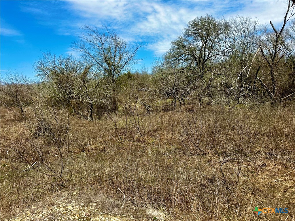 356 Rolling Ridge Road Property Photo 31