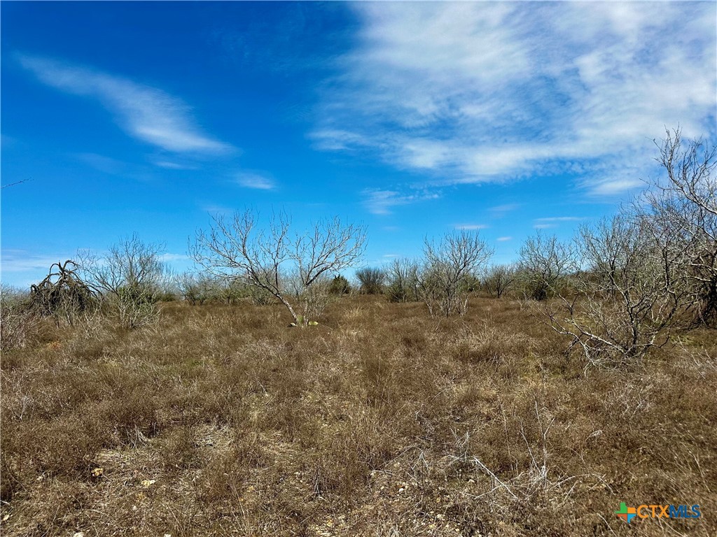356 Rolling Ridge Road Property Photo 32