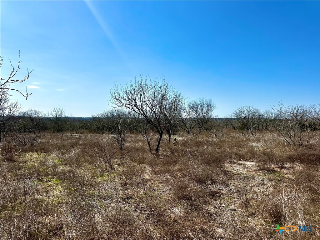 356 Rolling Ridge Road Property Photo 33