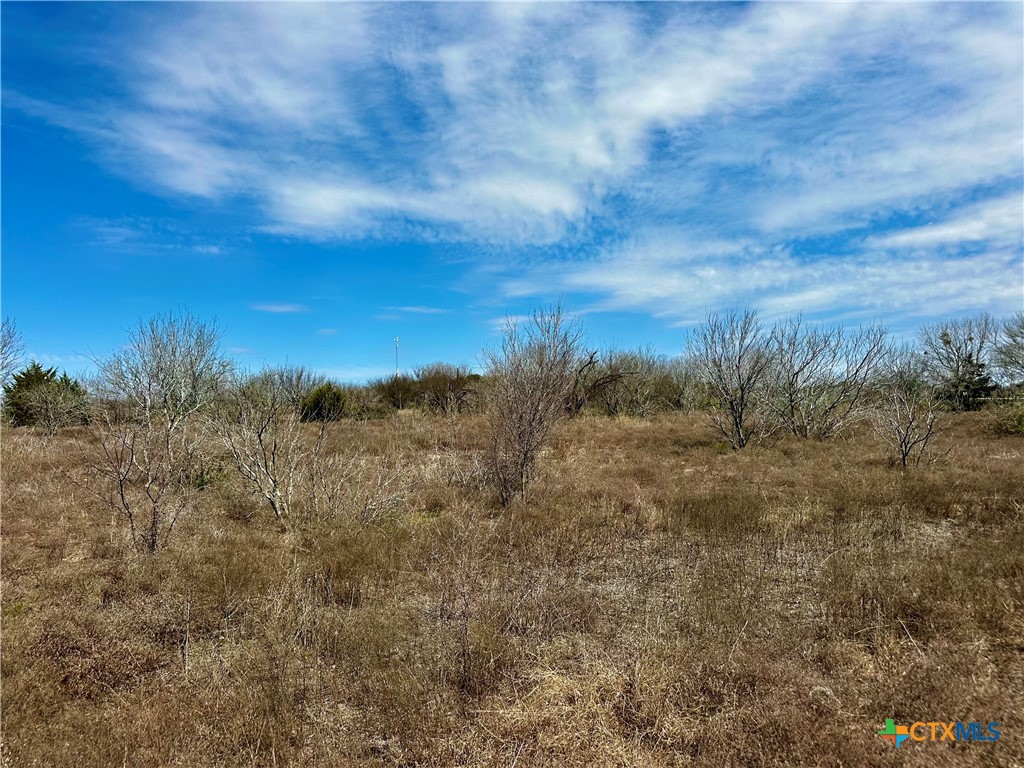 356 Rolling Ridge Road Property Photo 34
