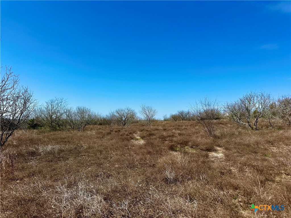 356 Rolling Ridge Road Property Photo 35