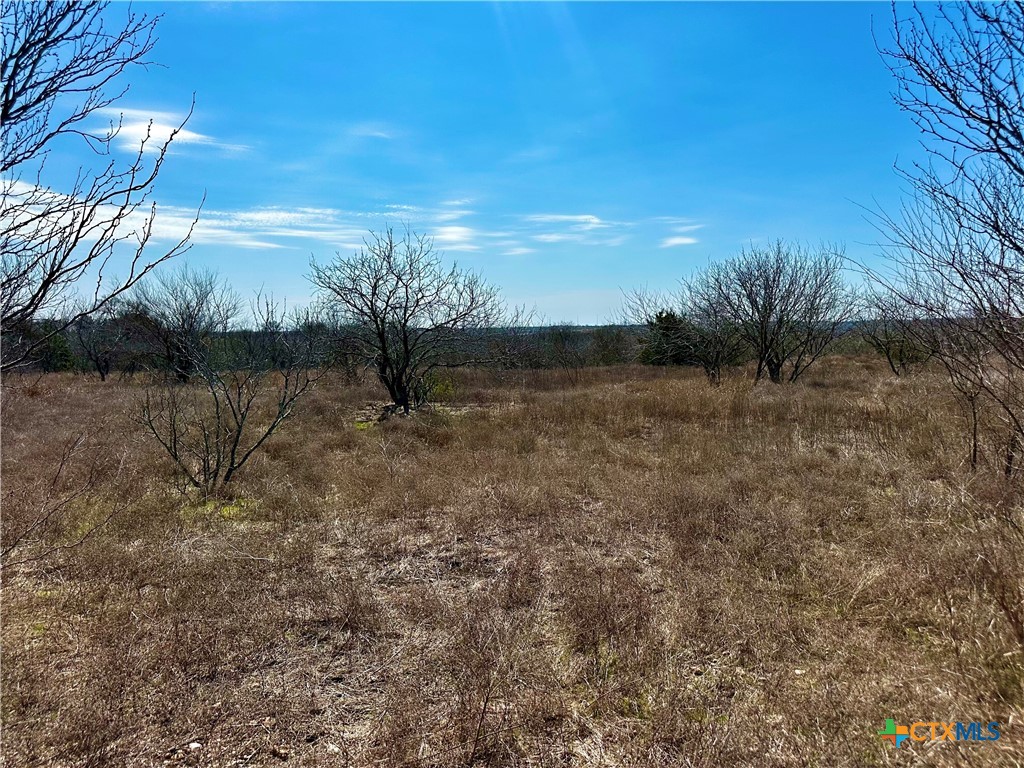 356 Rolling Ridge Road Property Photo 36