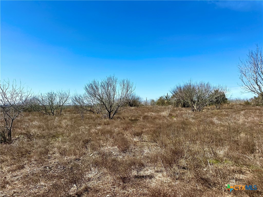 356 Rolling Ridge Road Property Photo 37