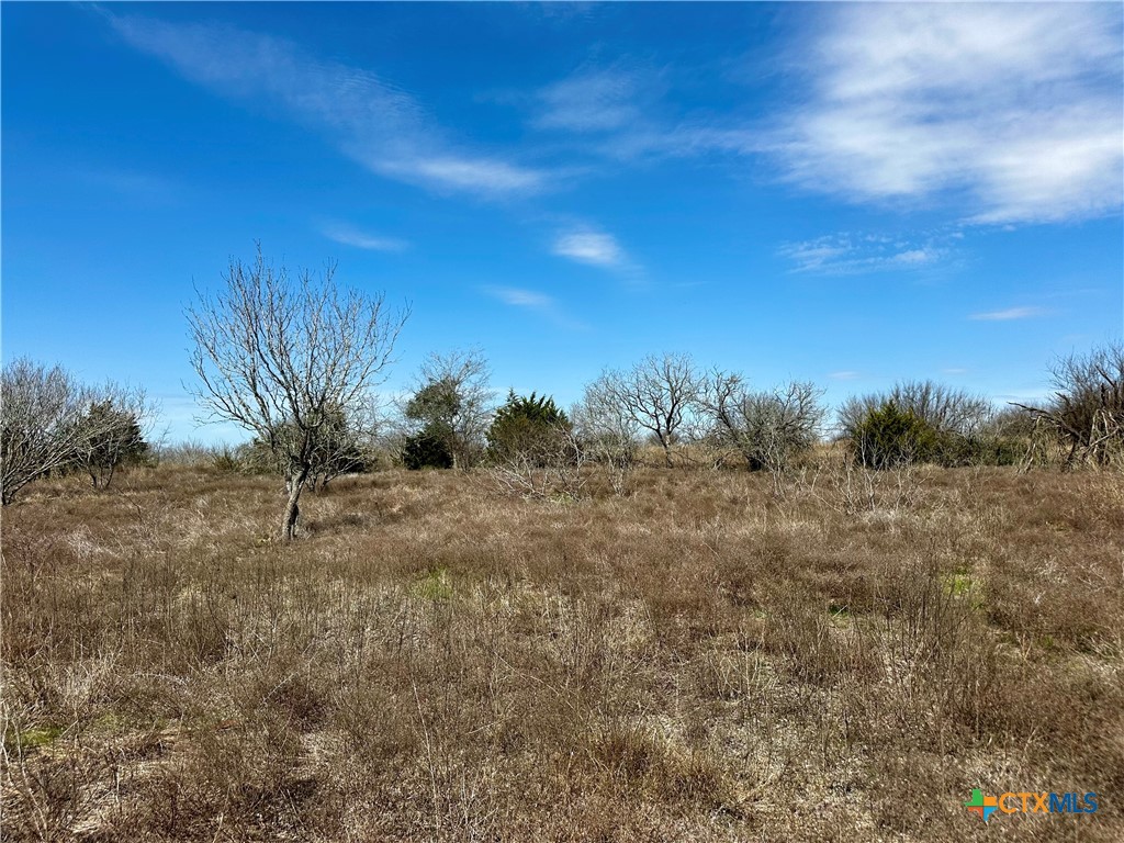356 Rolling Ridge Road Property Photo 38