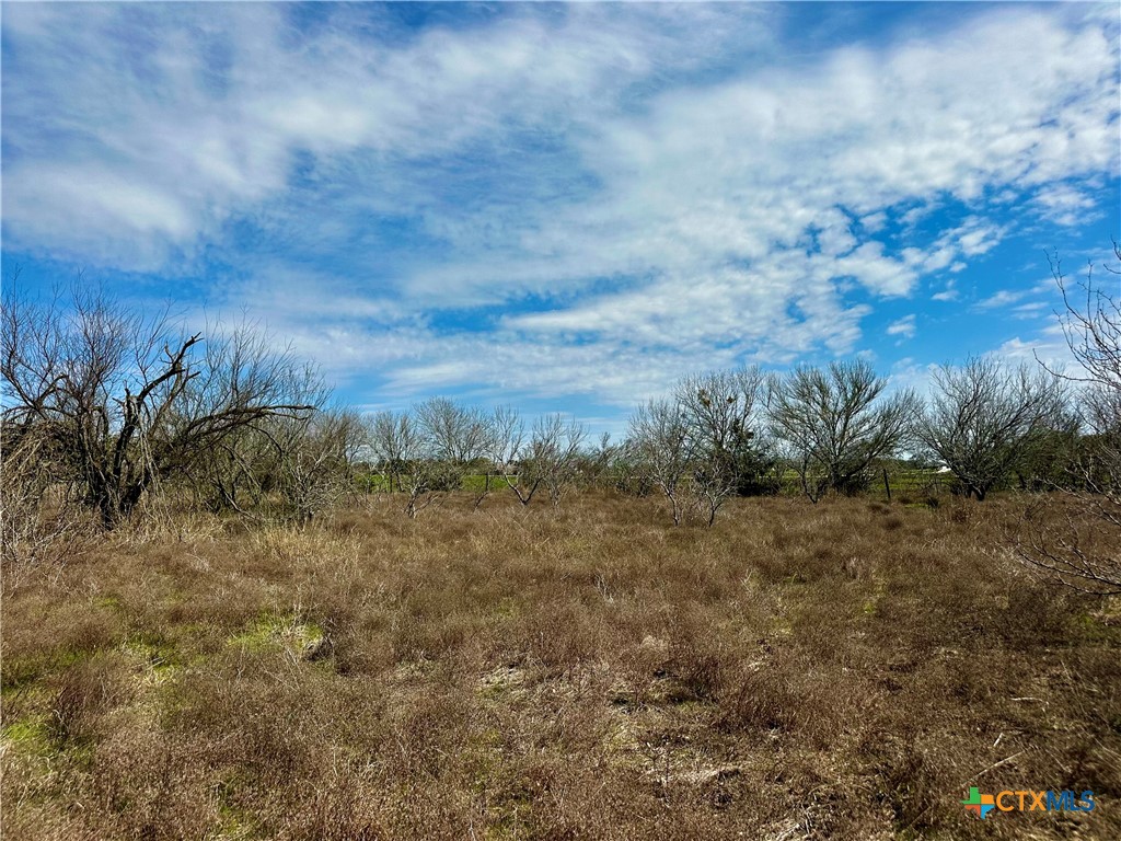 356 Rolling Ridge Road Property Photo 39