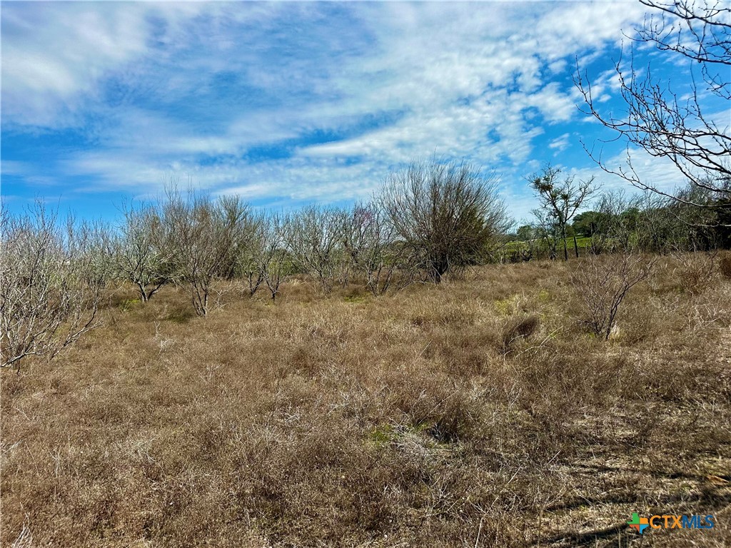 356 Rolling Ridge Road Property Photo 40