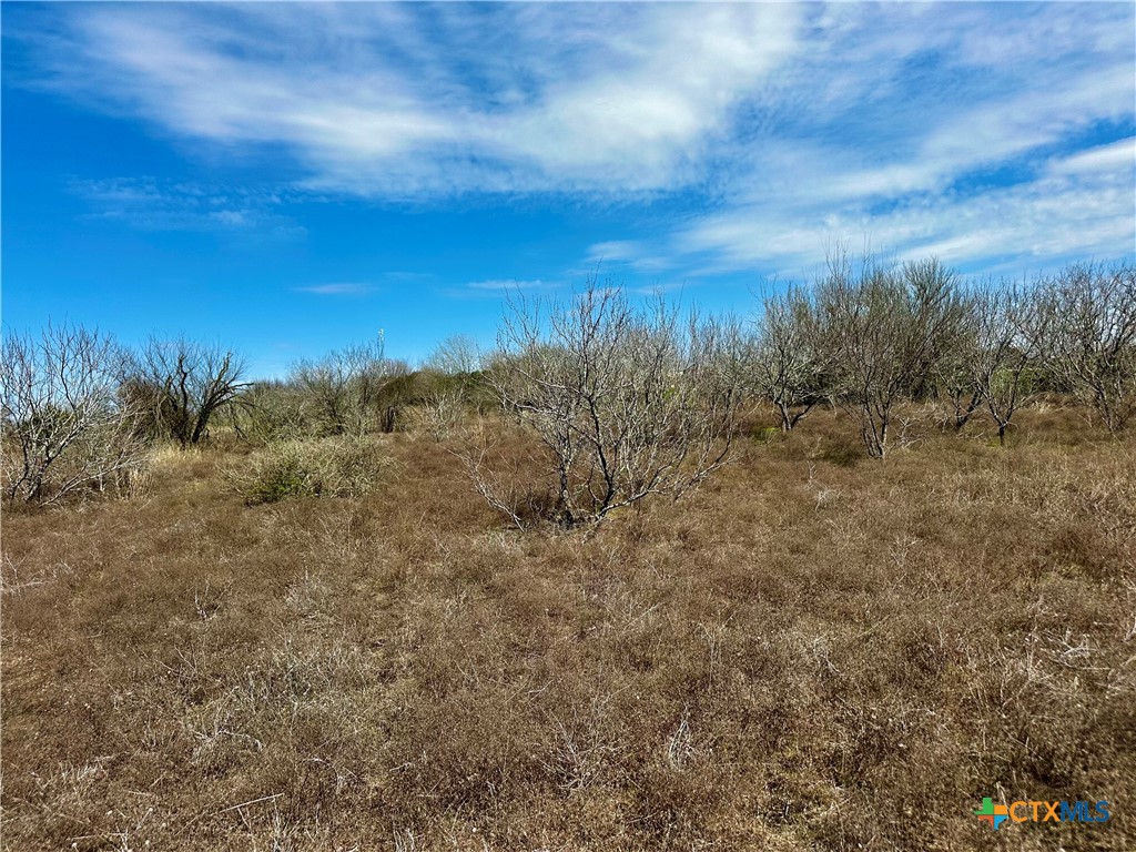 356 Rolling Ridge Road Property Photo 41