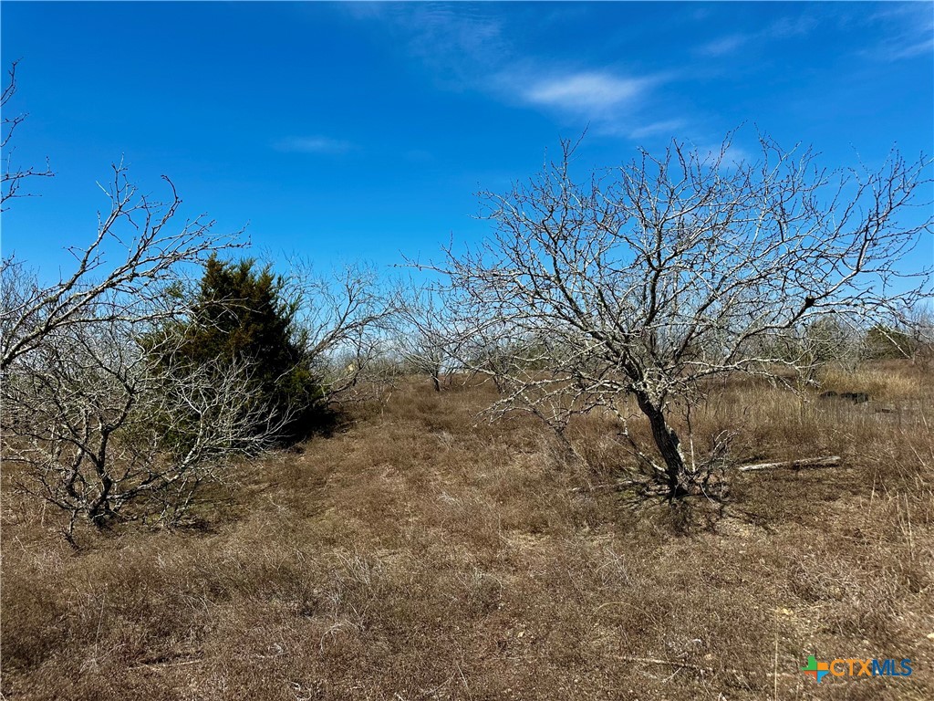 356 Rolling Ridge Road Property Photo 42
