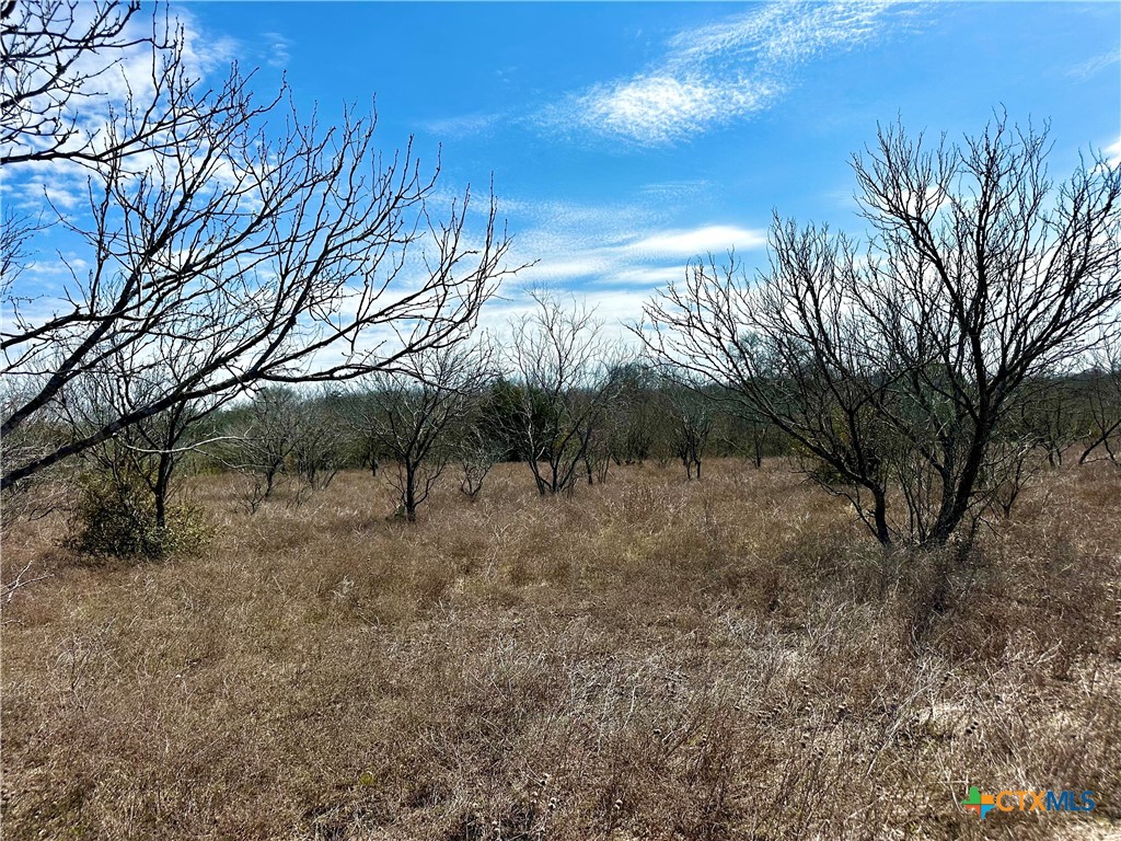 356 Rolling Ridge Road Property Photo 43