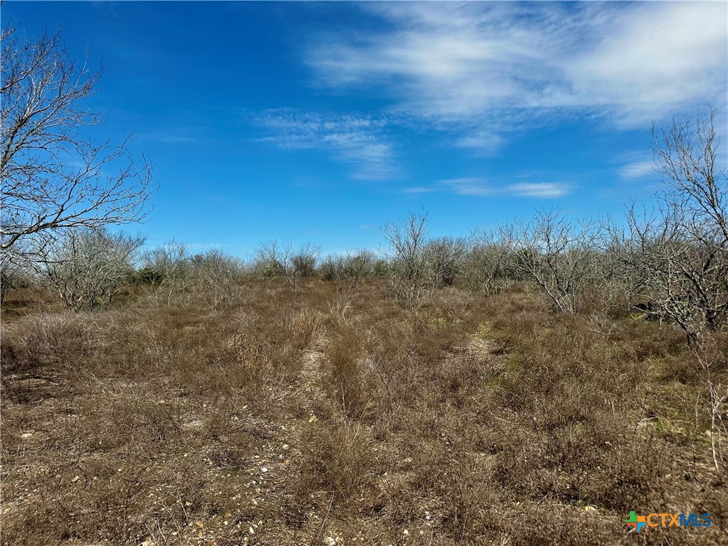 356 Rolling Ridge Road Property Photo 44