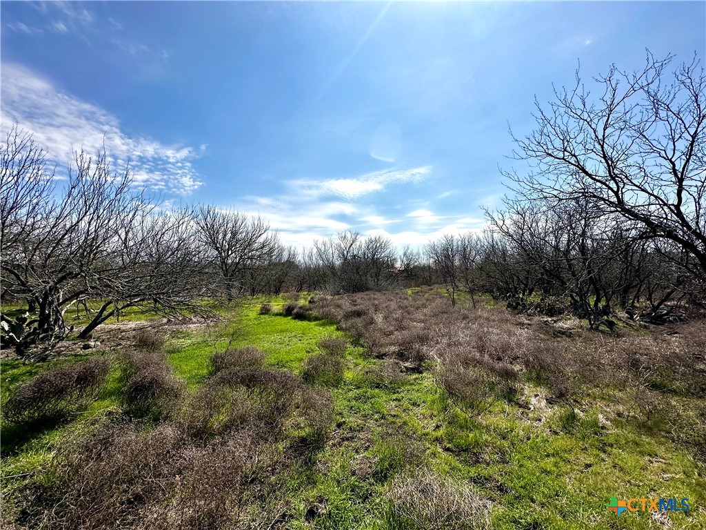356 Rolling Ridge Road Property Photo 45