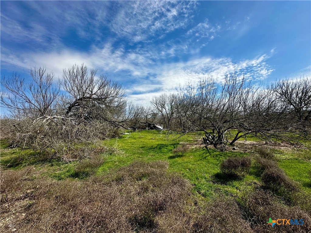 356 Rolling Ridge Road Property Photo 46