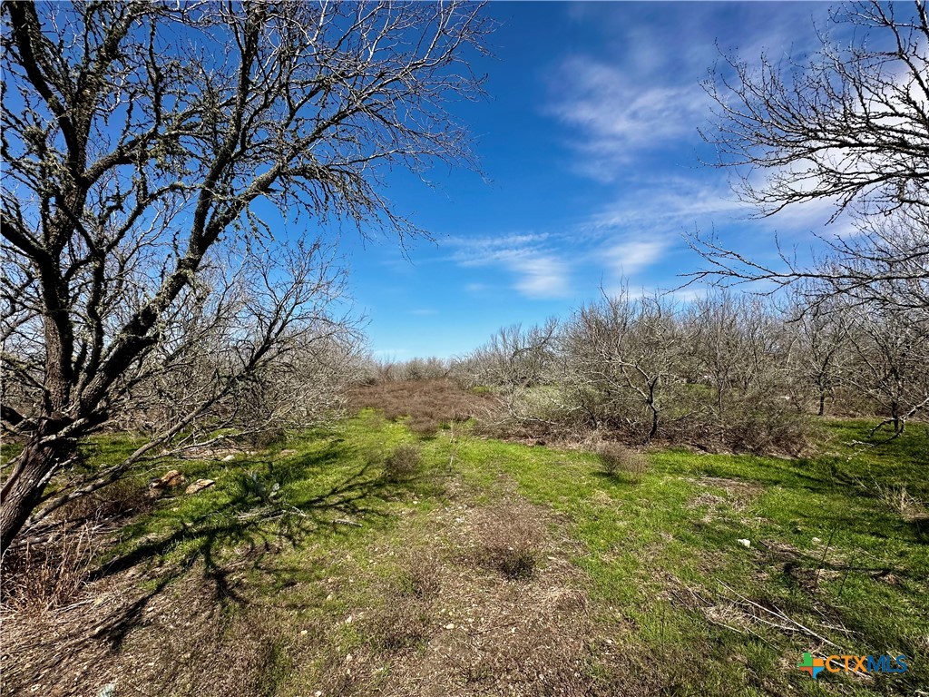356 Rolling Ridge Road Property Photo 48
