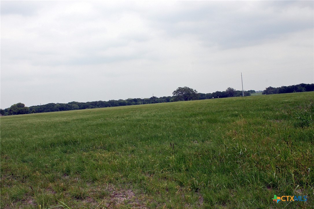 00 Brushy Branch Road Property Photo 2