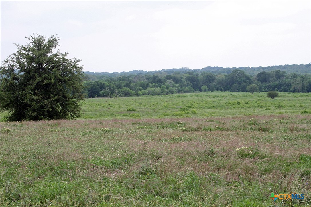 00 Brushy Branch Road Property Photo 7