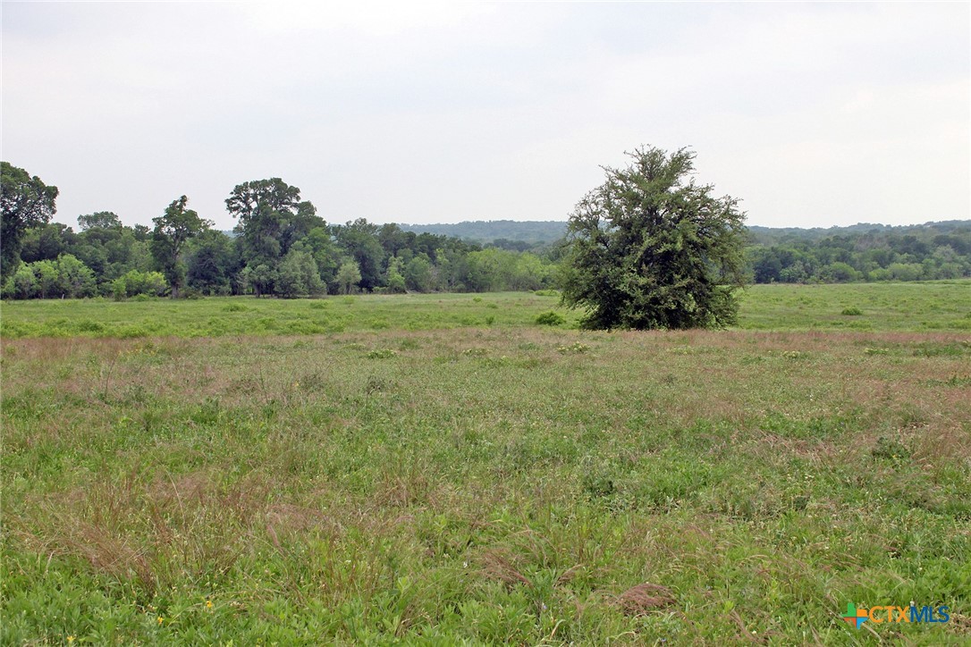 00 Brushy Branch Road Property Photo 2