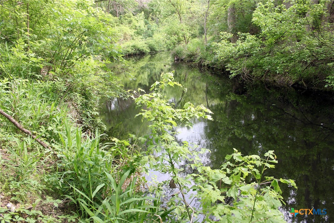 00 Brushy Branch Road Property Photo 8