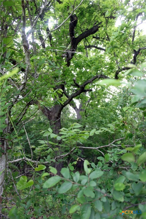 00 Brushy Branch Road Property Photo 12