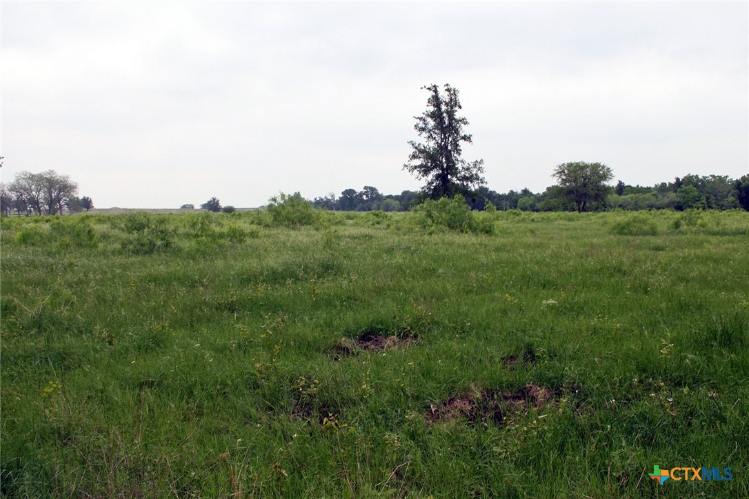 00 Brushy Branch Road Property Photo 13