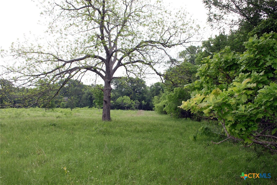 00 Brushy Branch Road Property Photo 14
