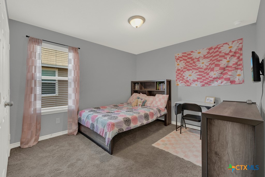 417 Briarfield Drive Property Photo 29