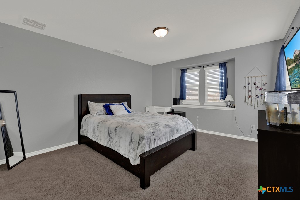 417 Briarfield Drive Property Photo 32
