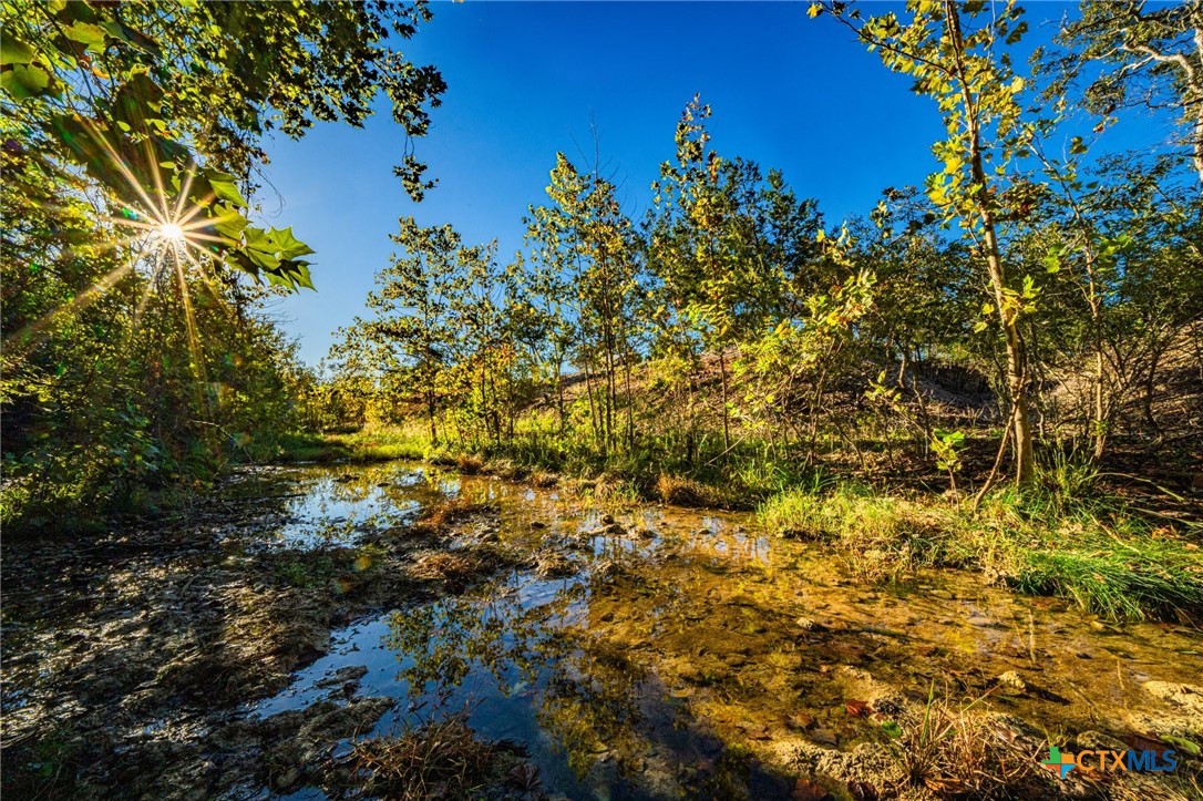 Tbd Fm 2843 Property Photo 1