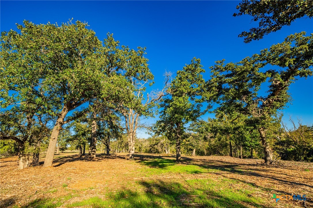 Tbd Fm 2843 Property Photo 15