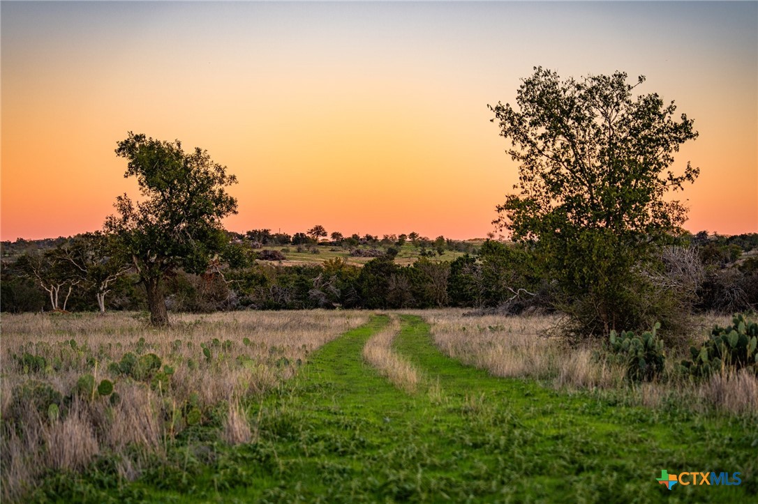 Tbd Fm 2843 Property Photo 4