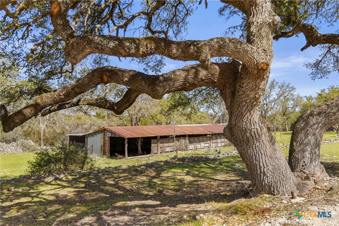 16598 Us Hwy 281 Property Photo 5