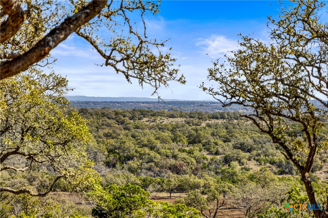 16598 Us Hwy 281 Property Photo 8