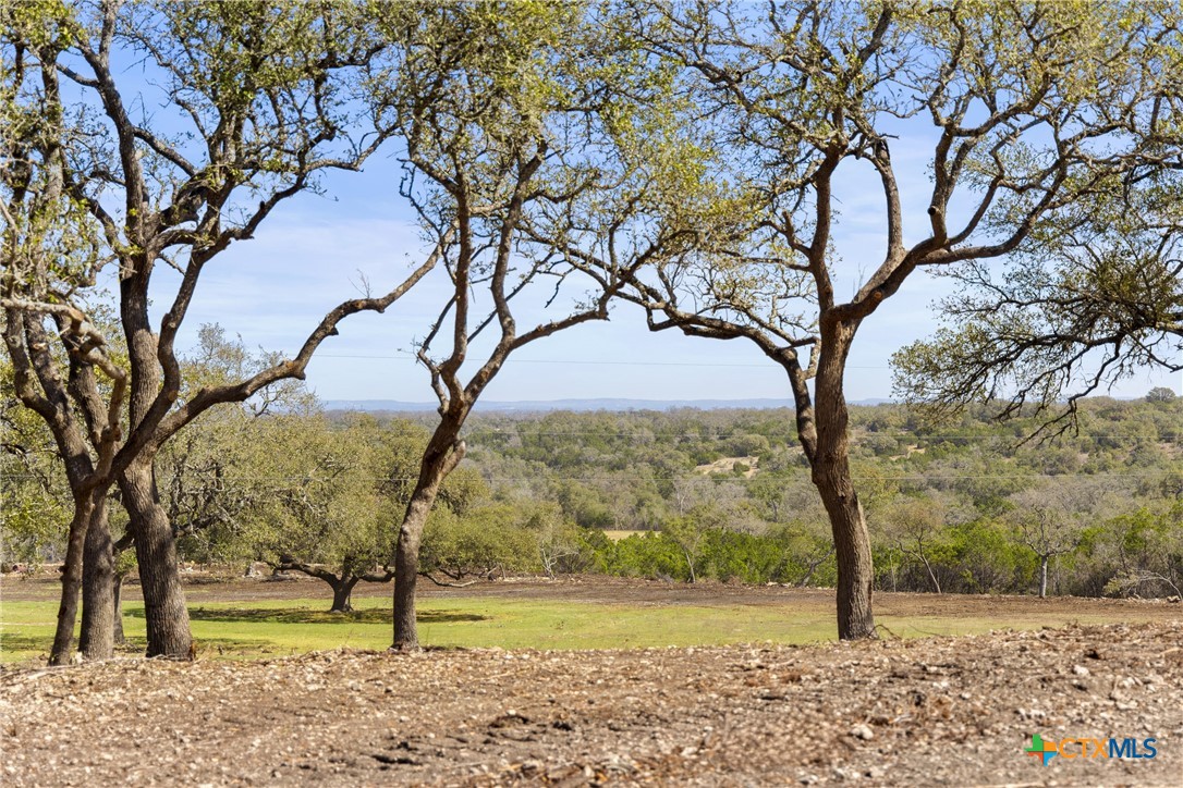 16598 Us Hwy 281 Property Photo 16
