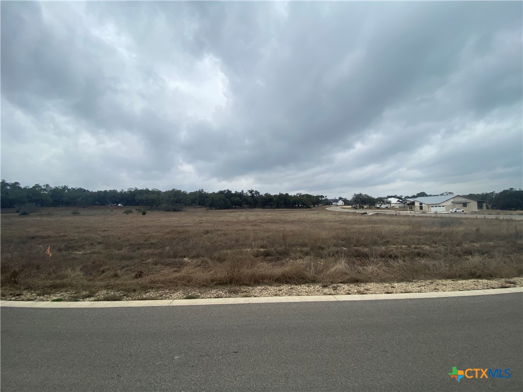 785 Ansley Home Property Photo 2