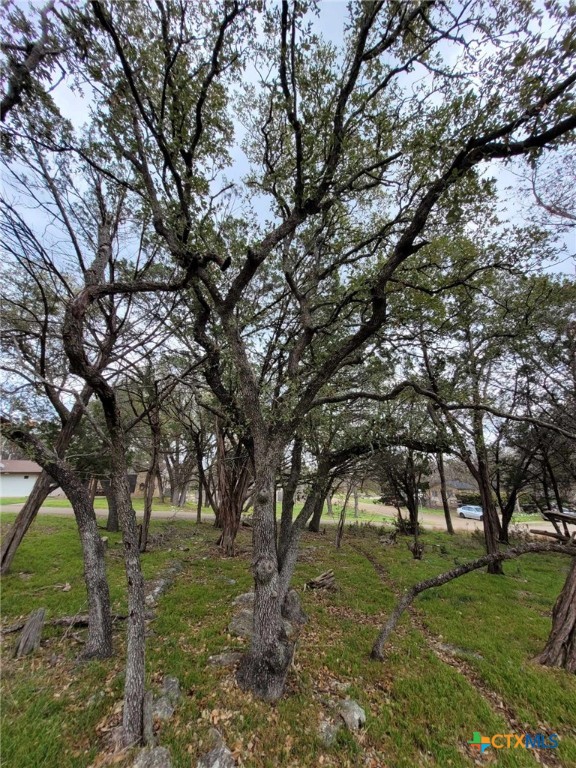 14 S Cliffwood Circle Property Photo 8