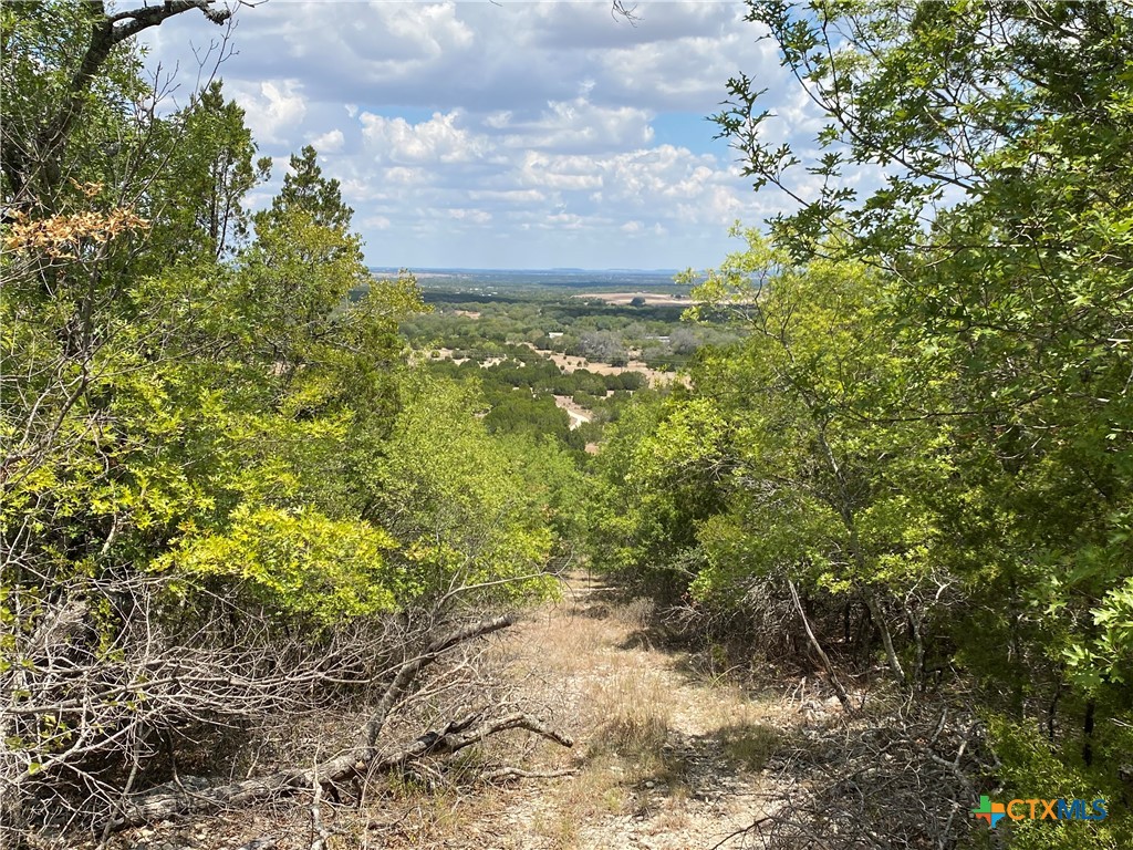 Fm 1113 W Lindorbet Ranch, Lot 16a Property Photo 1