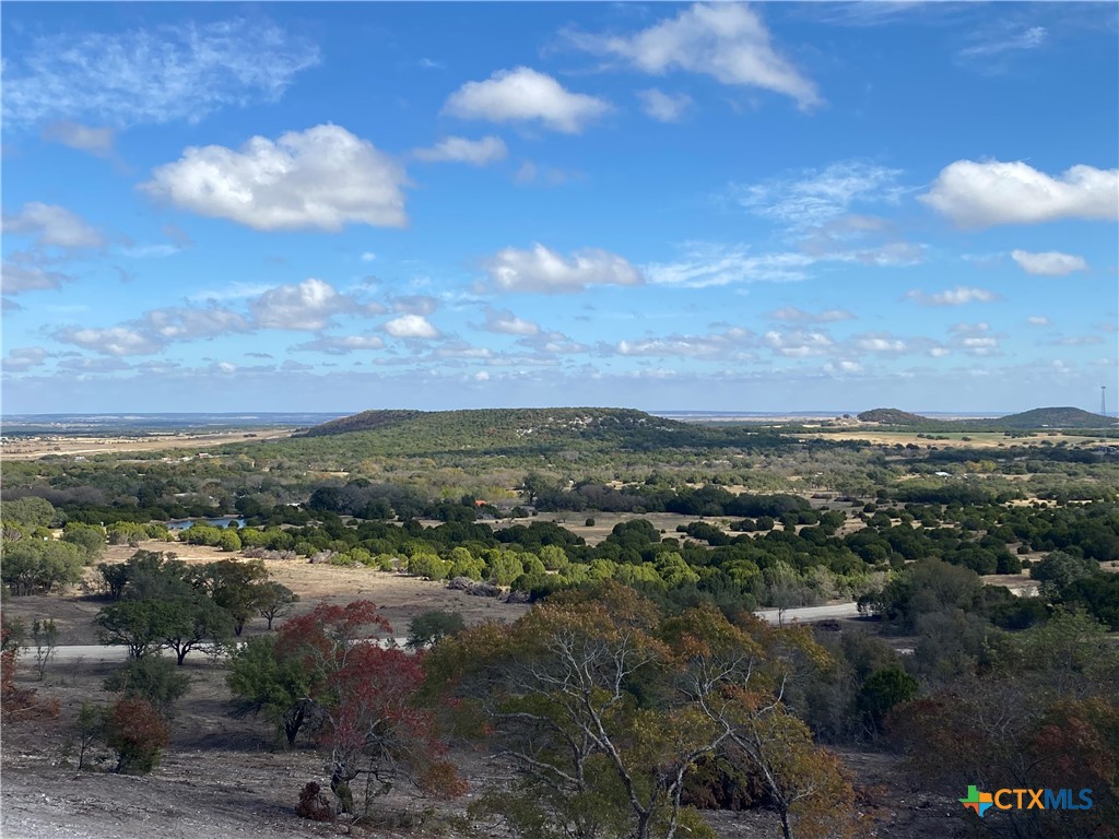 Fm 1113 W Lindorbet Ranch, Lot 16a Property Photo 2