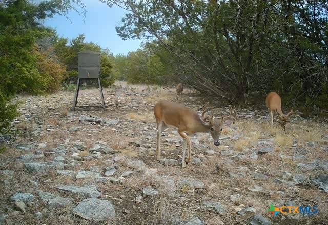 Fm 1113 W Lindorbet Ranch, Lot 16a Property Photo 7