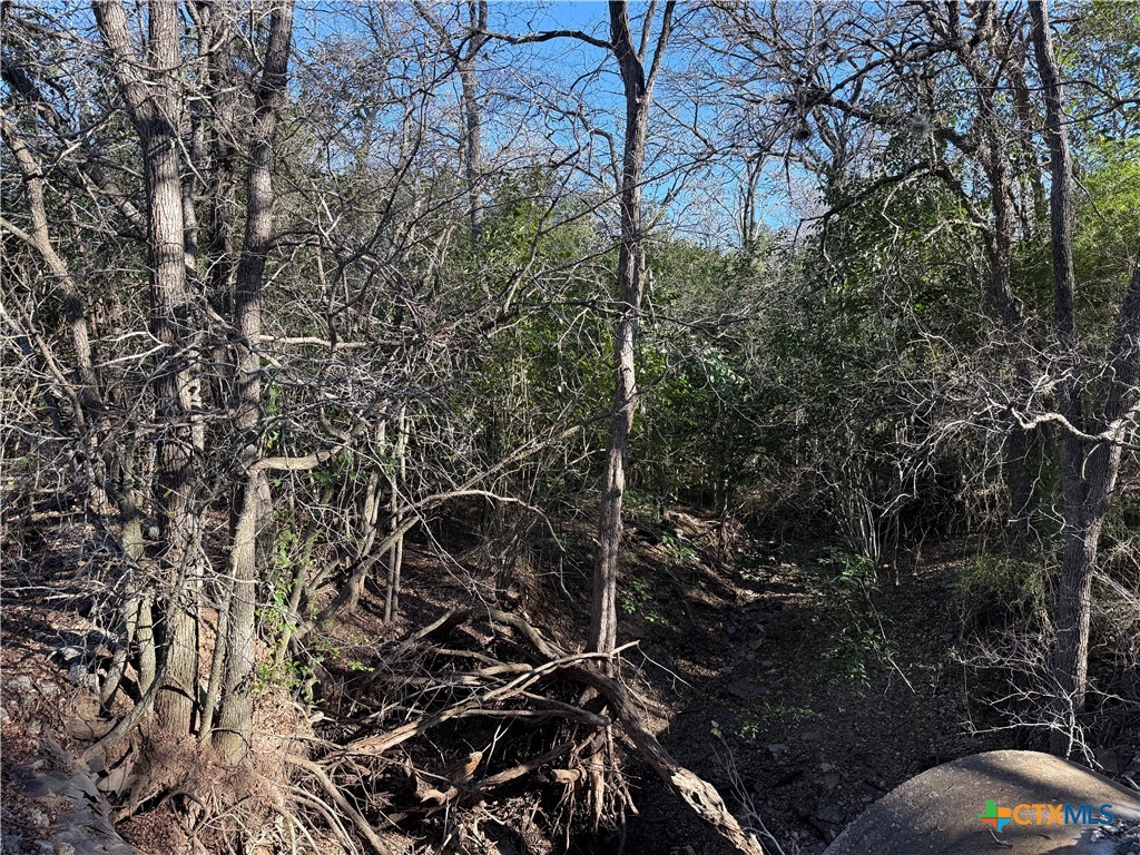 0 Country Club Drive Property Photo 9