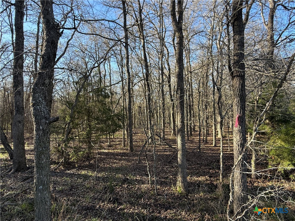 0 Country Club Drive Property Photo 17