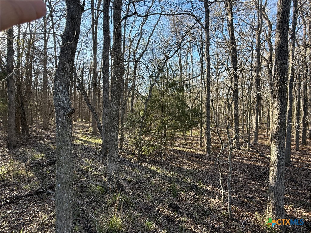 0 Country Club Drive Property Photo 18