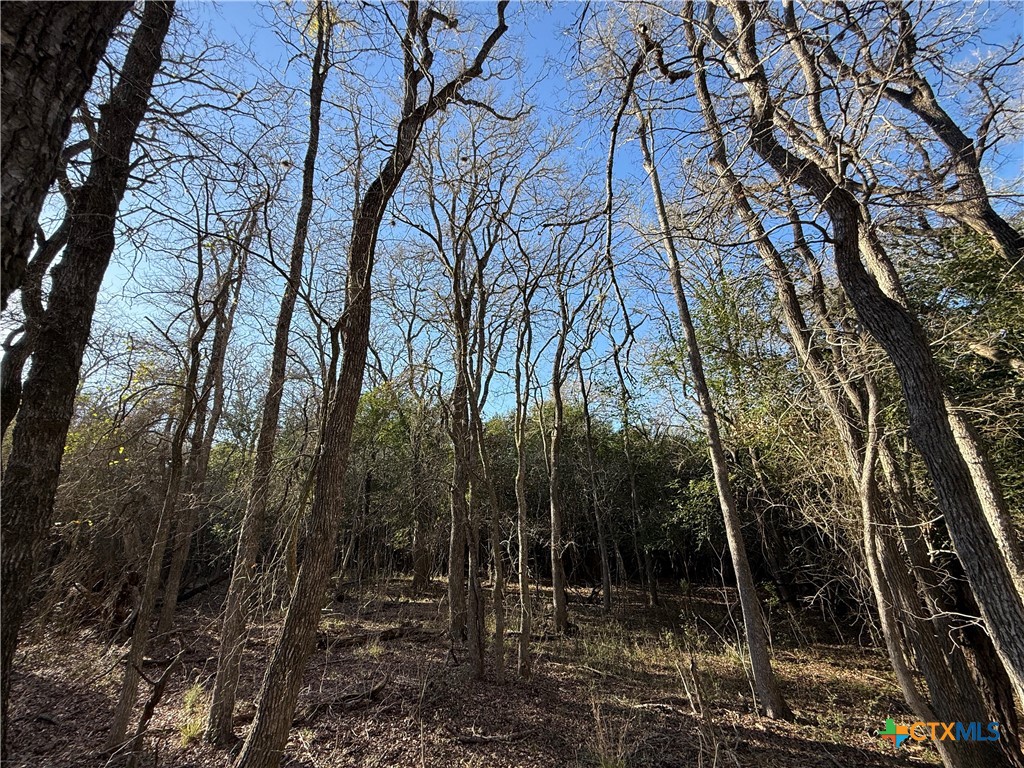0 Country Club Drive Property Photo 19