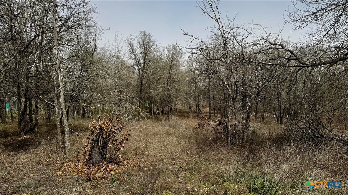 1611 Kerr Circle Property Photo 6
