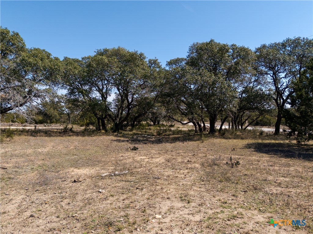 Tbd Lot 237 Heartleaf Drive Property Photo