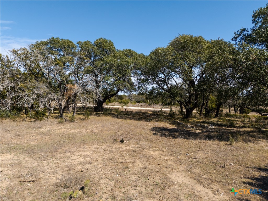 Tbd Lot 237 Heartleaf Drive Property Photo 2