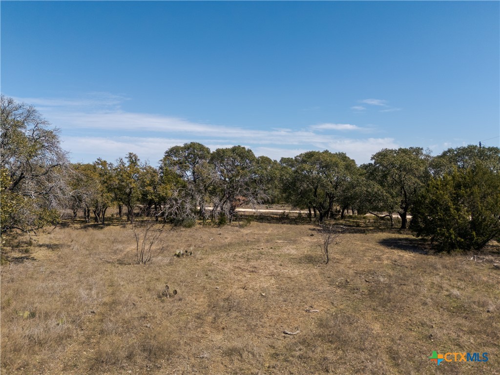 Tbd Lot 237 Heartleaf Drive Property Photo 3