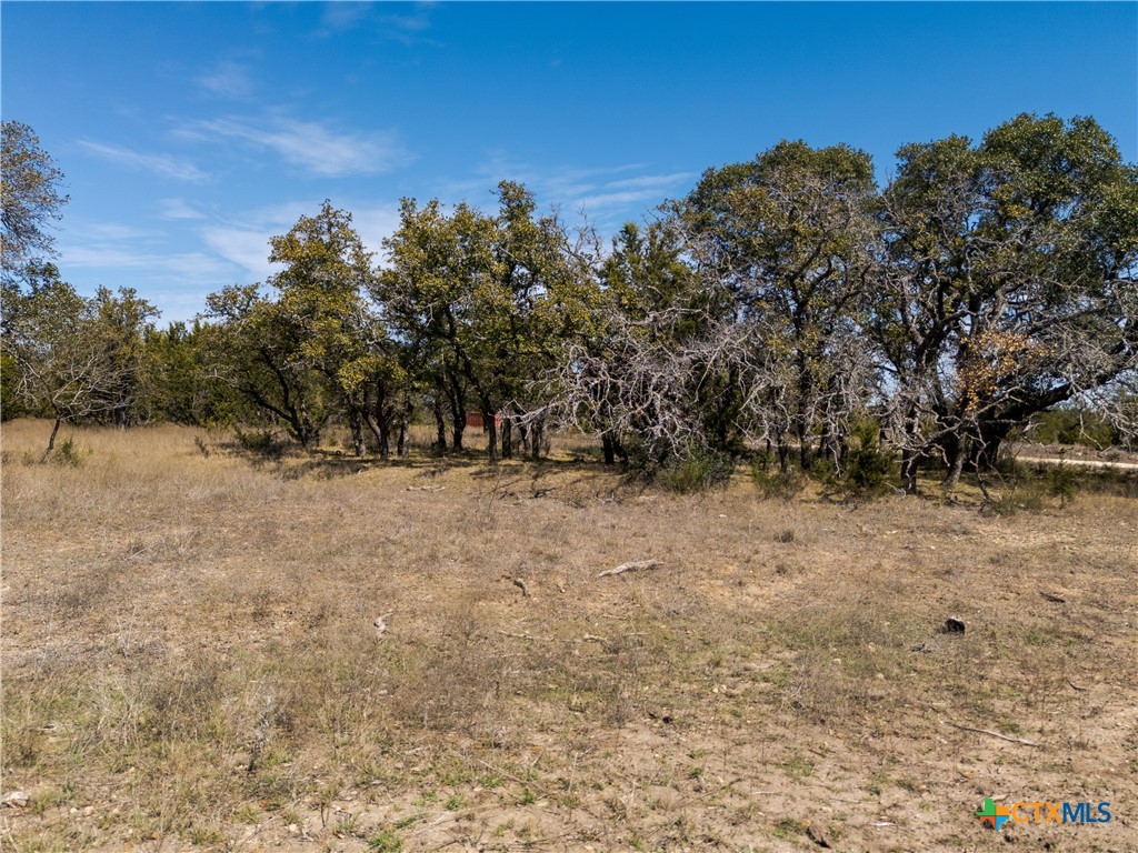 Tbd Lot 237 Heartleaf Drive Property Photo 6
