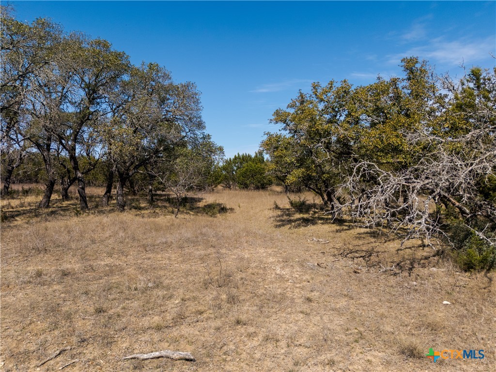 Tbd Lot 237 Heartleaf Drive Property Photo 8