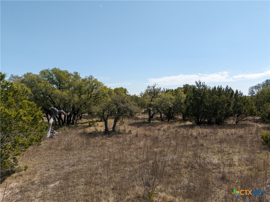 Tbd Lot 237 Heartleaf Drive Property Photo 21
