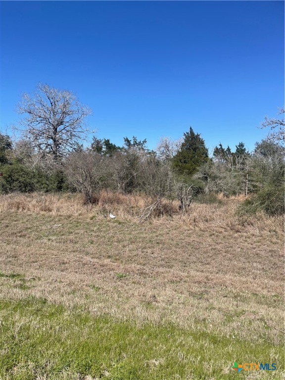 00 Us Hwy 87 Property Photo 2