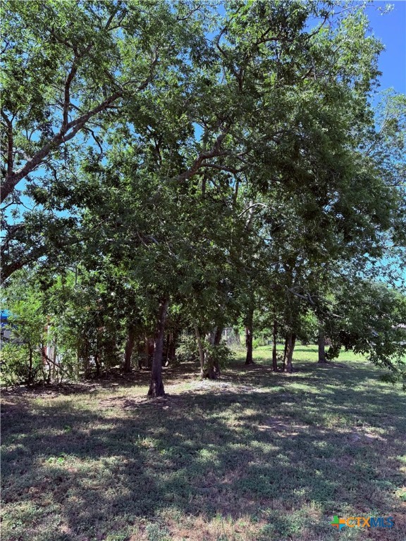 200 Carl Shipp Drive Property Photo 3